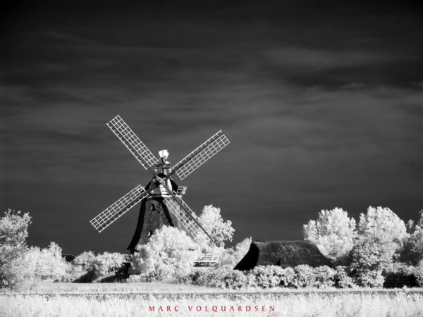 Oldsum - Windmühle (III)
