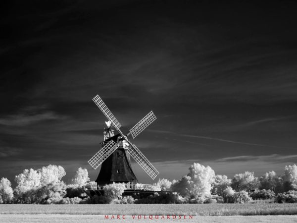 Oldsum - Windmühle (VIII)