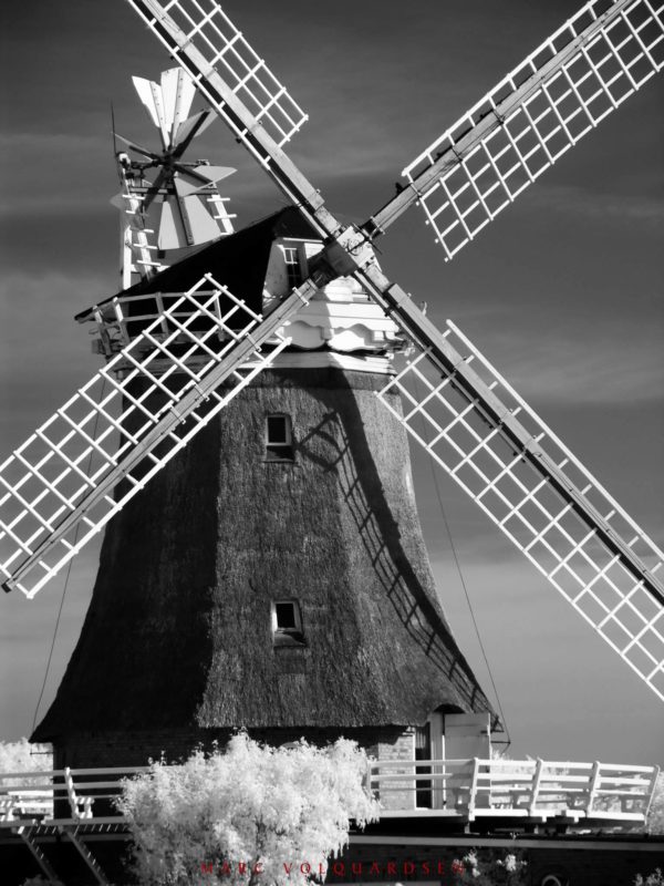 Oldsum - Windmühle (X)