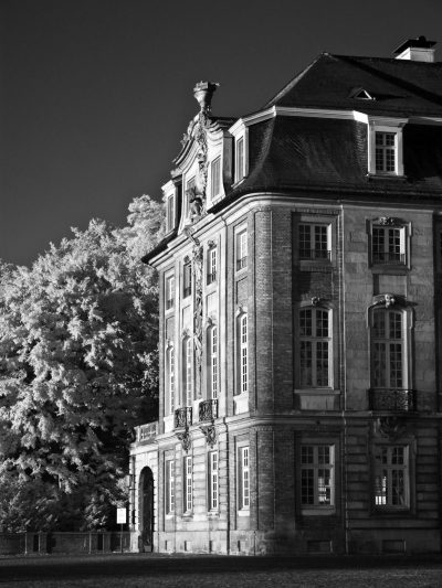 Schloss Münster (V)